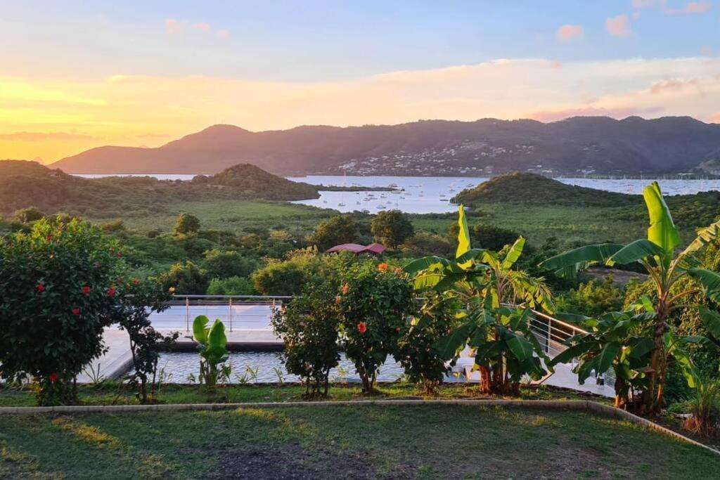 Bas De Villa Piscine Petit Versailles Sainte Anne Esterno foto