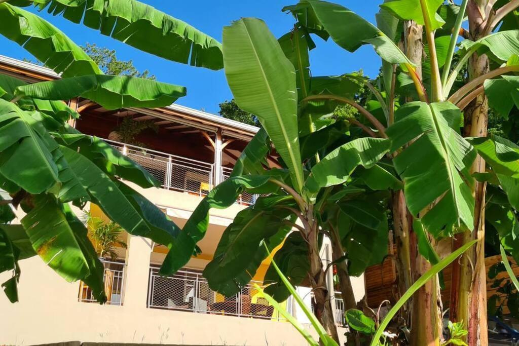 Bas De Villa Piscine Petit Versailles Sainte Anne Esterno foto